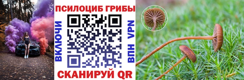 Псилоцибиновые грибы прущие грибы  Шимановск 